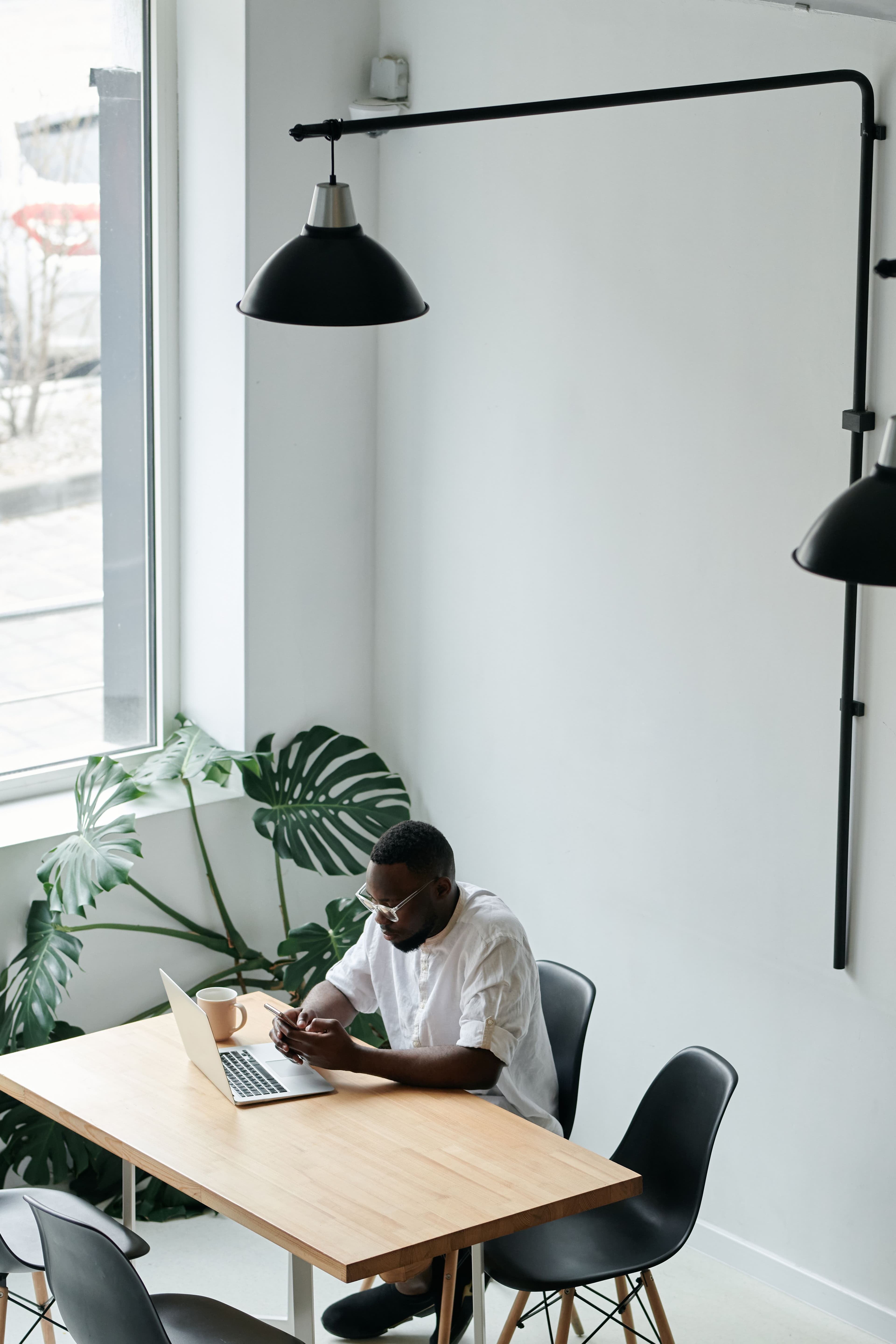 A person working at a laptop by a window, beside a large leafy plant.